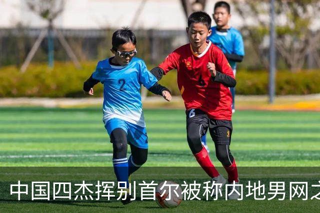 中国四杰挥别首尔被称内地男网之痛，大威首次回应屡战屡败
