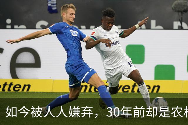 如今被人人嫌弃，30年前却是农村香饽饽，为何如今仍然大量养殖