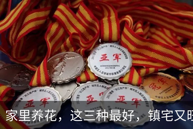家里养花，这三种最好，镇宅又旺财，家家户户都能养