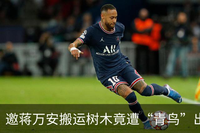 邀蒋万安搬运树木竟遭“青鸟”出征，清洁队长：我好内疚、很难过